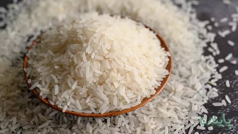 تصویر 1 از قیمت خرید برنج کامفیروزی + فروش ویژه